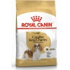 Royal Canin Cavalier King Charles Adult 1.5kg Dry Food for Small Breed Adult Dogs with Corn / Chicken / Rice Royal Canin Cavalier King Charles Adult 1.5kg Dry Food for Small Breed Adult Dogs with Corn / Chicken / Rice